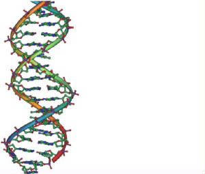 dna.jpg